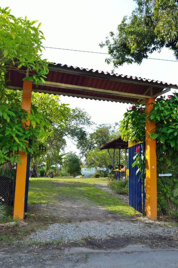 Casa Finca Villa Luz A 800 Mts Del Parque Del Cafe Монтенегро Екстер'єр фото